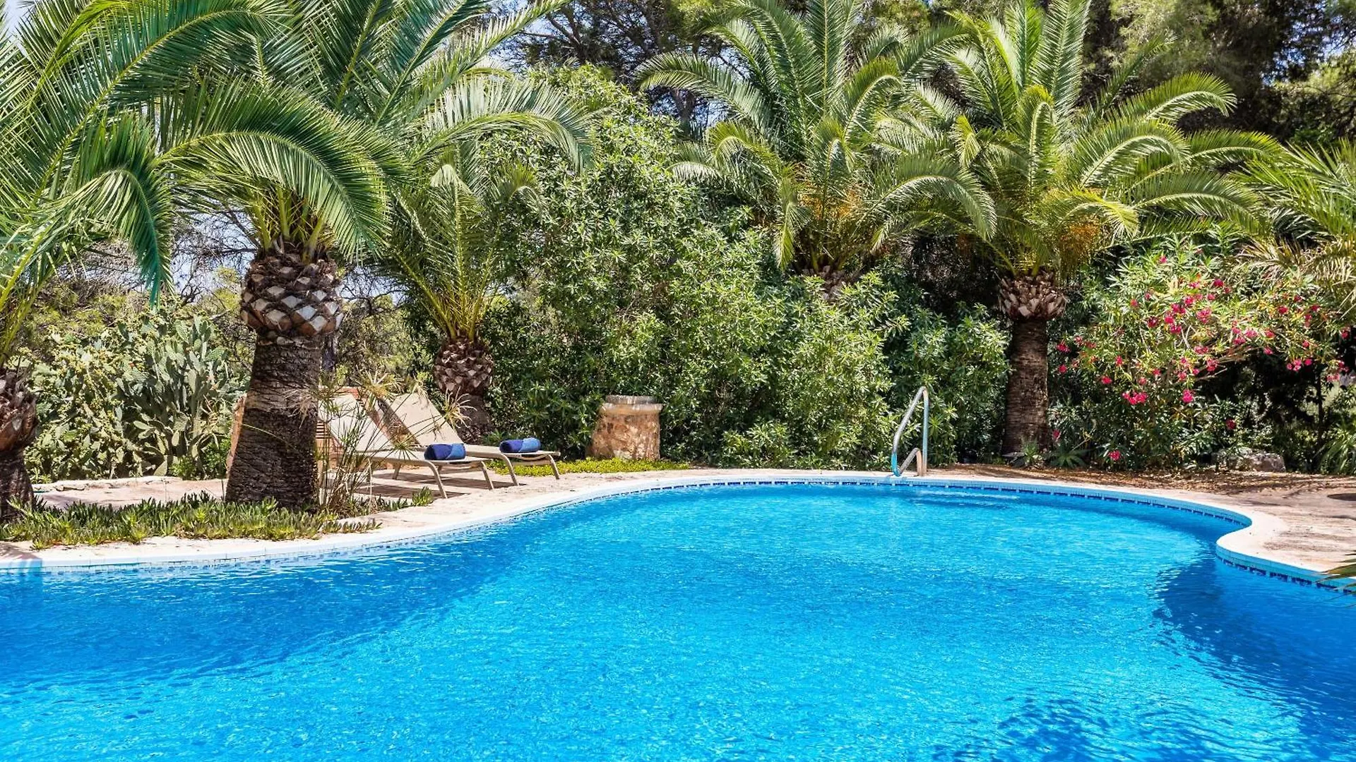 Apartment Oasis Cala Santanyi With Shared Pool 0*,